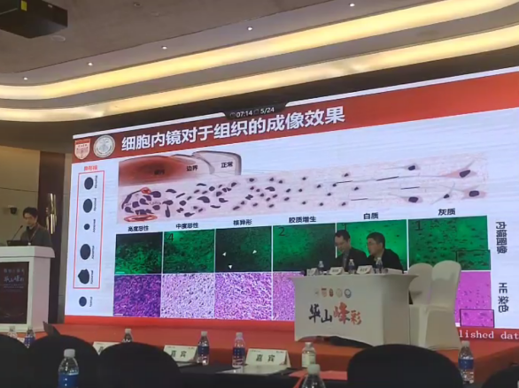 第三屆“華山峰彩”學術論壇盛大召開：專家共話細胞內鏡EndoSCell?細胞級精準手術方案(圖3)