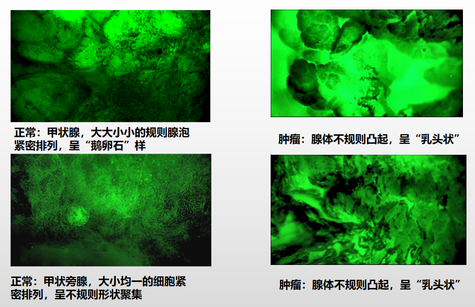 微信圖片_20250521142452.png